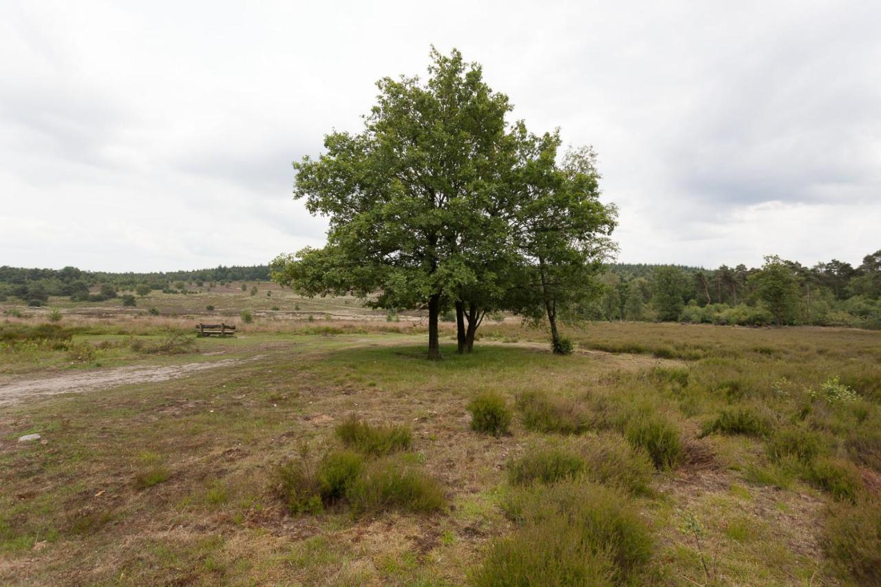 Chalet Hoenderloo Spar Exteriér fotografie