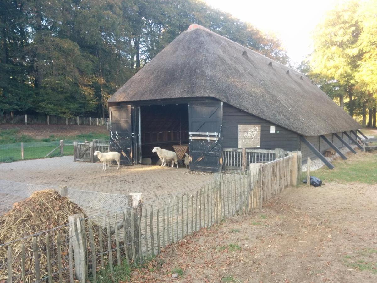 Chalet Hoenderloo Spar Exteriér fotografie